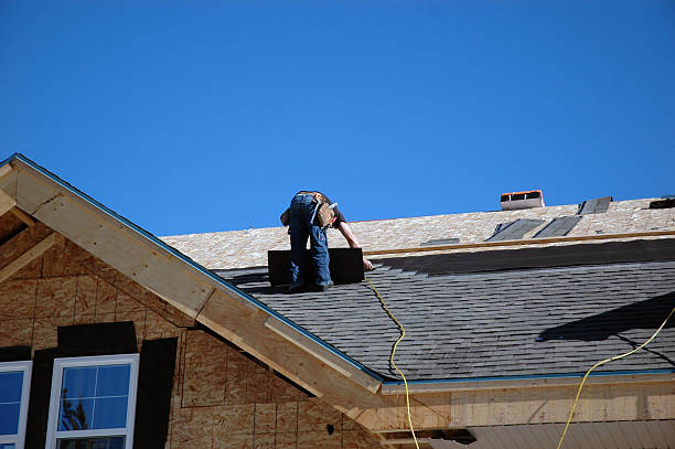 Best Storm Damage Roof Repair  in Chlicothe, IL