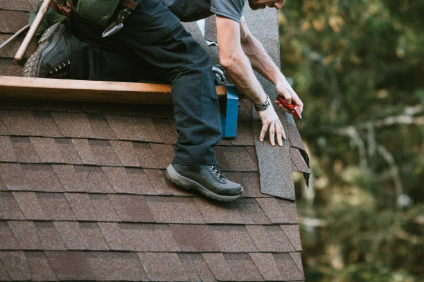 Best Roof Leak Repair  in Chlicothe, IL