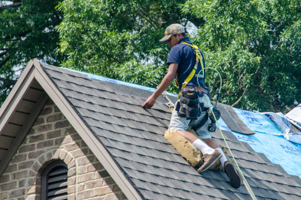 Best Roof Maintenance Services  in Chlicothe, IL